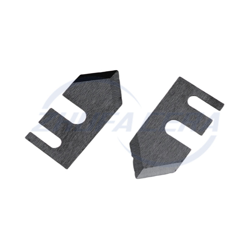 Pii carbide ceramic partes speciales informibus